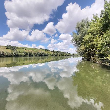 Apartmán Fewo Main Urlaub An Der Mainschleife Obereisenheim Exteriér fotografie